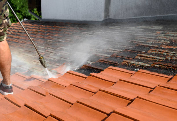 Best House Pressure Washing  in Wahese, NC